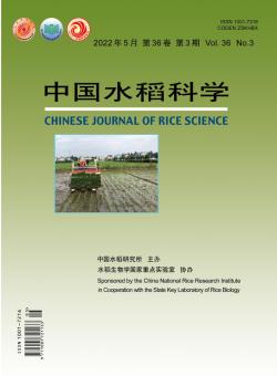 中国水稻科学