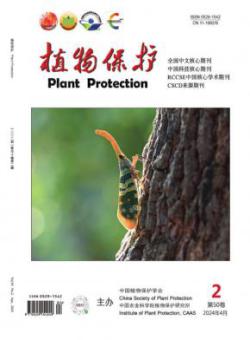 植物保护