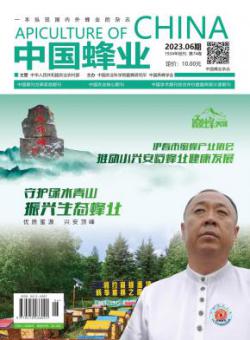 中国蜂业