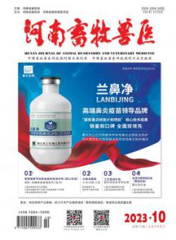 河南畜牧兽医