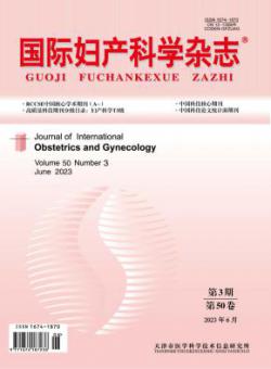 国际妇产科学