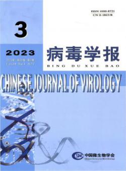 病毒学报