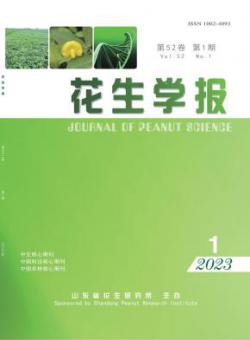 花生学报