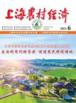上海农村经济