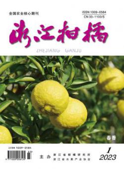 浙江柑橘