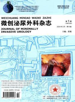 微创泌尿外科