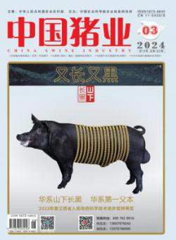 中国猪业
