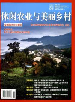 休闲农业与美丽乡村