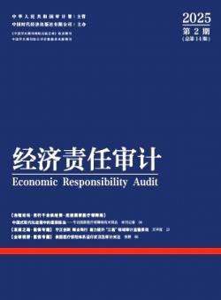 经济责任审计