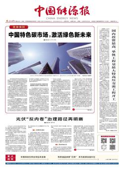 中国能源报